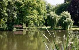 im Schlosspark Lübbenau