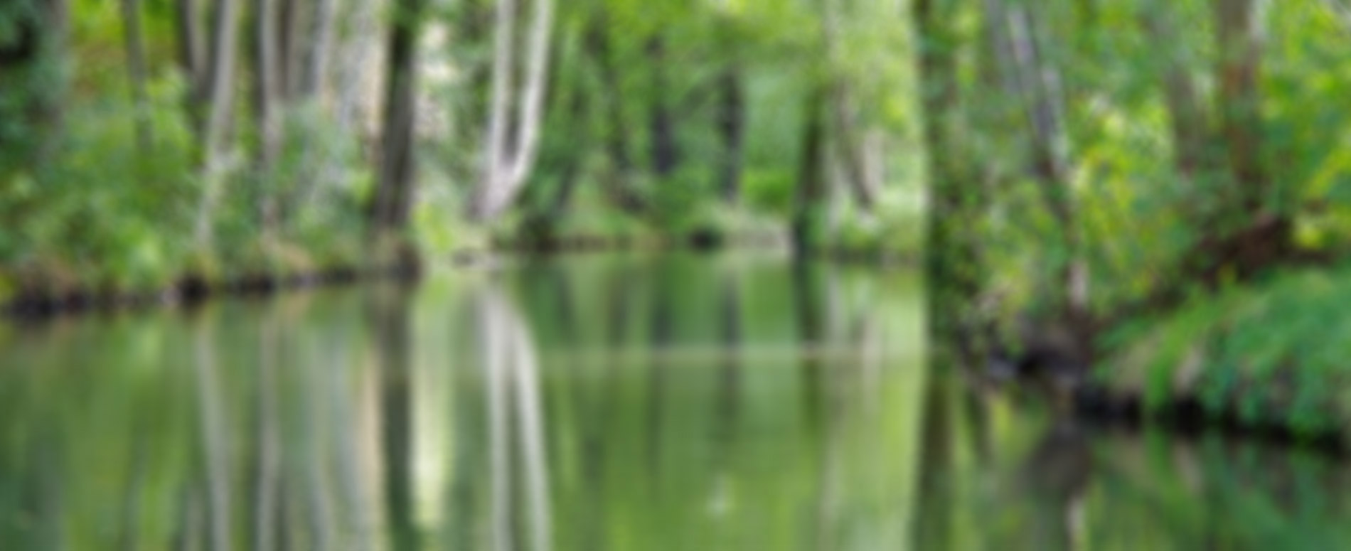Spreewald Urlaub im Frühling