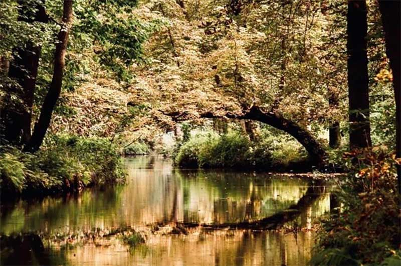 individuelle Kahnfahrt