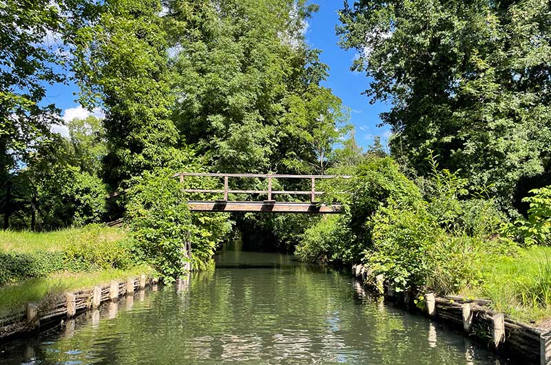 Spiegelung im Wasser