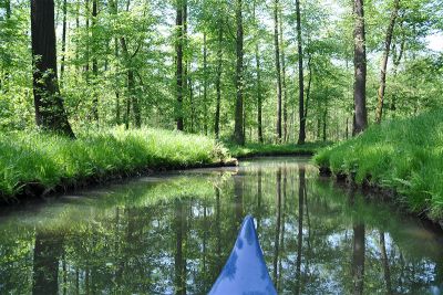 im Frühling unterwegs