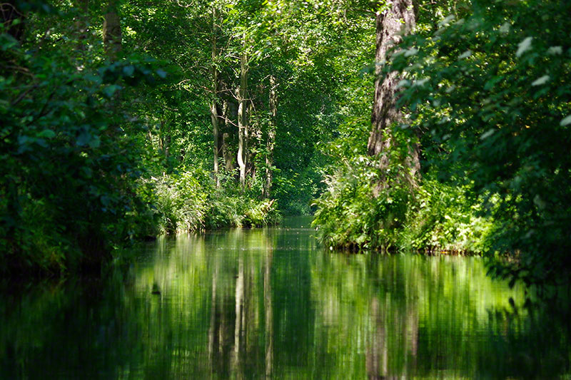 Spreewald Spreewald