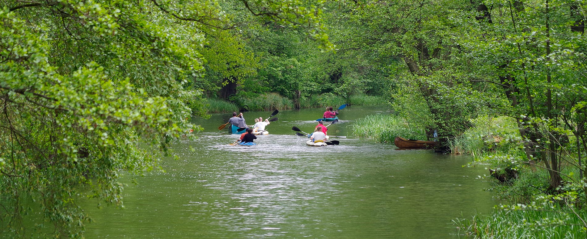 Paddler in Leipe