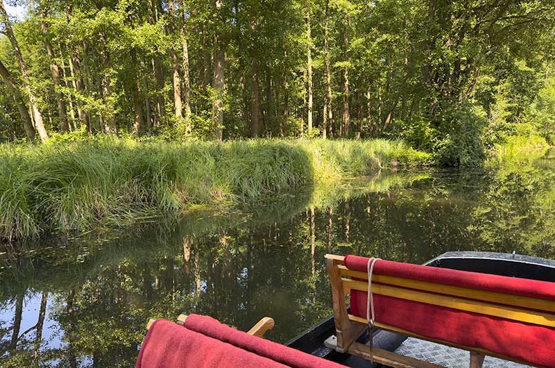 Natur Kahnfahrt in Lübben