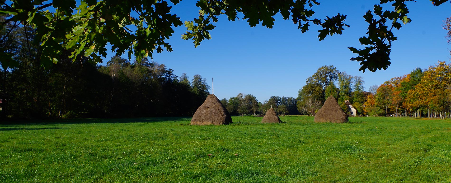 Heuschober Spreewald