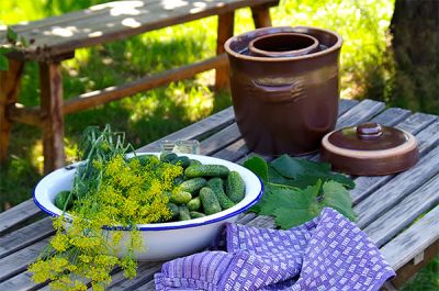 Zutaten für Dillgurken