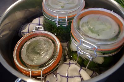 Gewürzgurken einkochen