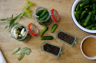 kleine Einlegegurken Zutaten in die Gläser schichten