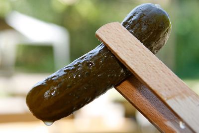 saure Gurke saure Gurke aus dem Steintopf