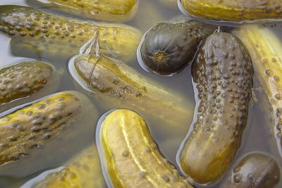 saure Gurken saure Gurken im Salzbad