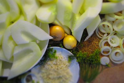 Gurken, Meerrettich, Zwiebeln vorbereitet Gurken, Meerrettich, Zwiebeln vorbereitet
