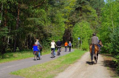 Reiter, Radfahrer und Skater