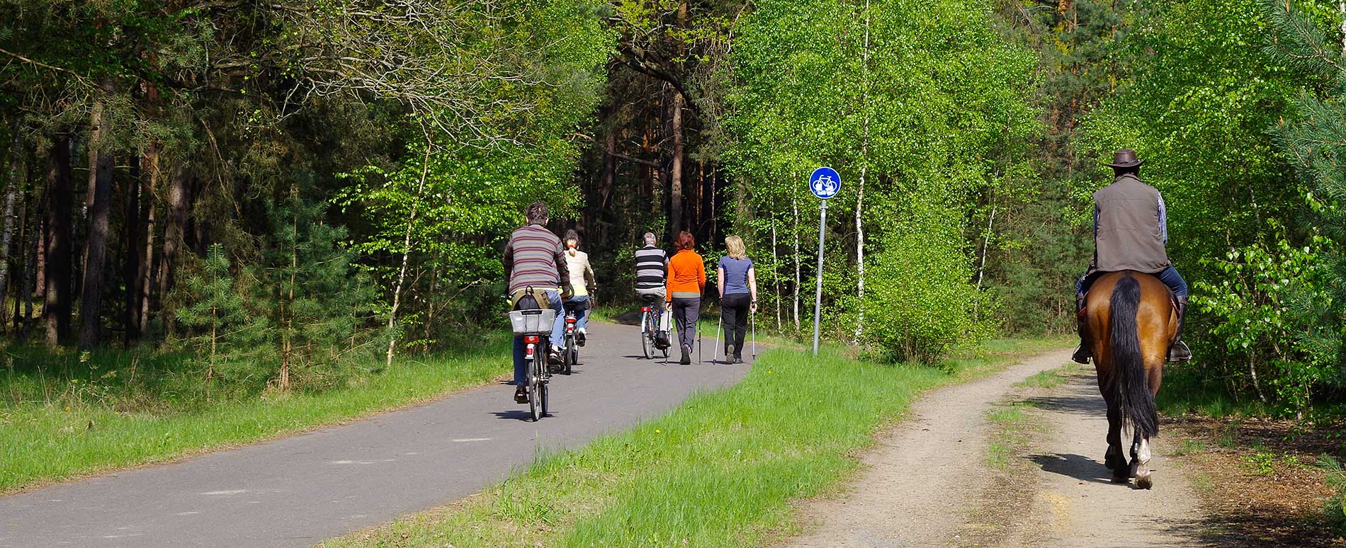 Bewegung und Spaß im Spreewald - Radfahrer, Walker und Reiter