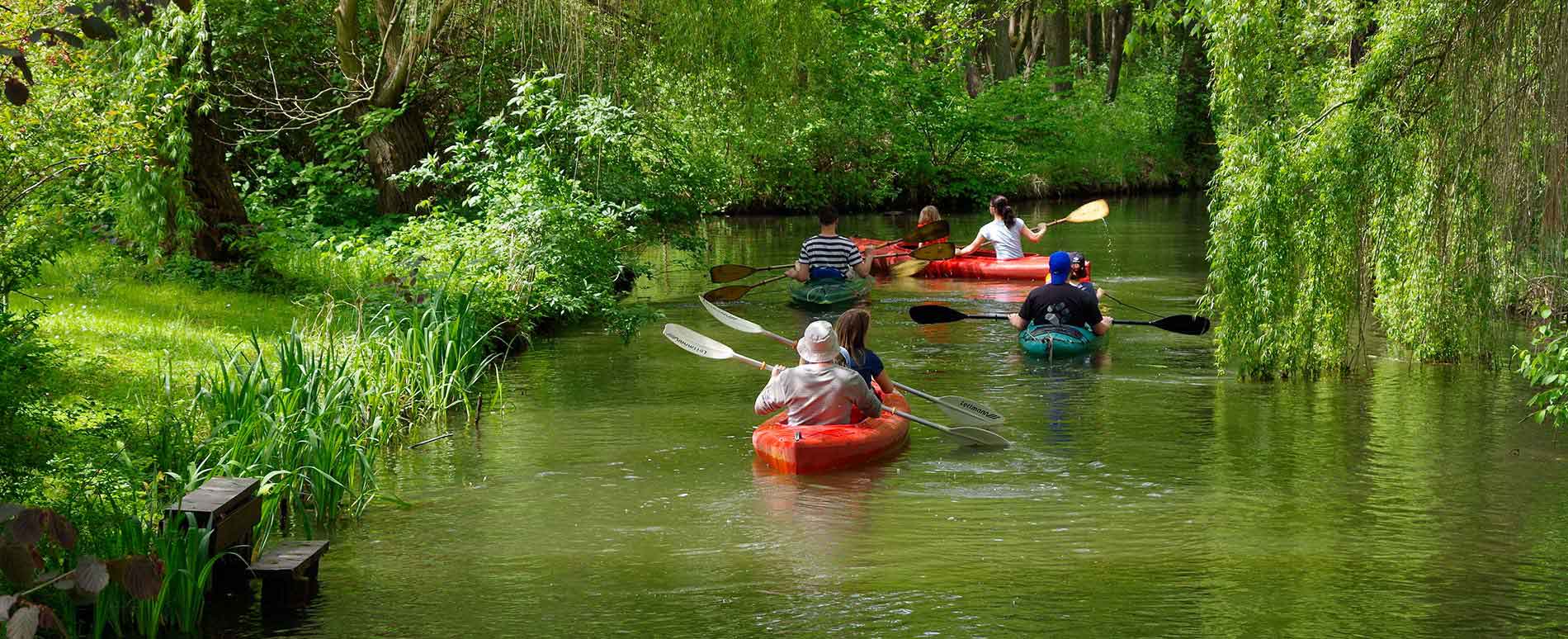 Kanutouren Spreewald
