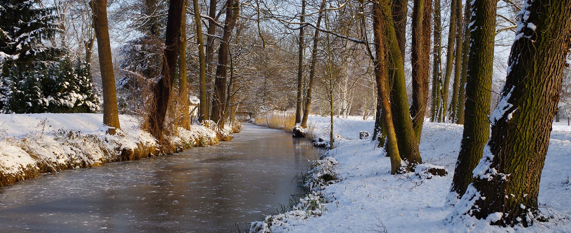 verschneiter Spreewald